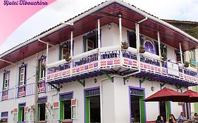 Hotel Tibouchina